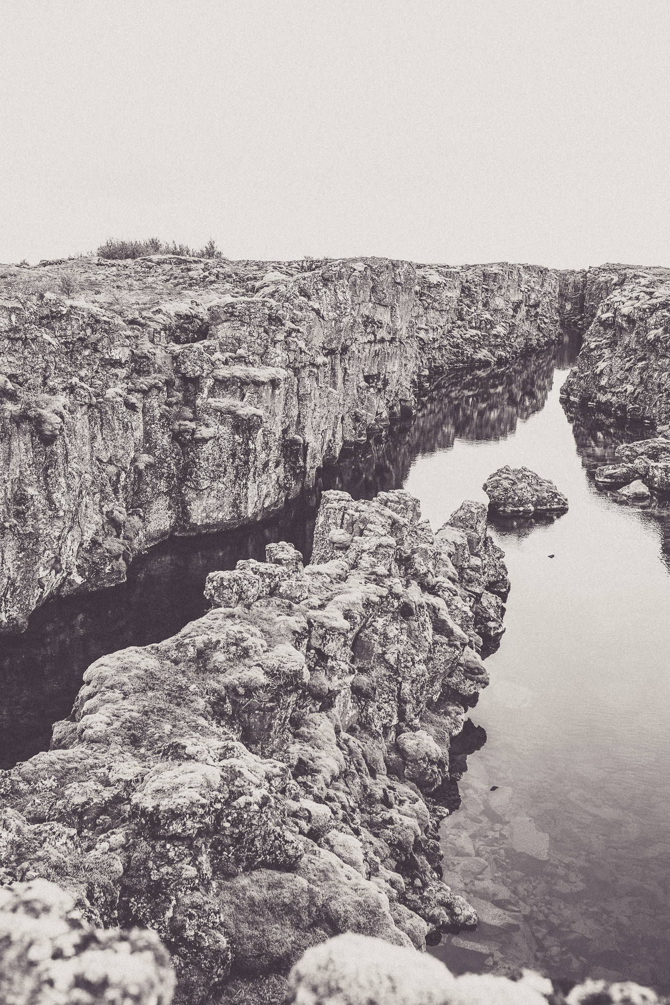 Export x3 5D4 5810 Anja & Damaris @thingvellier 3